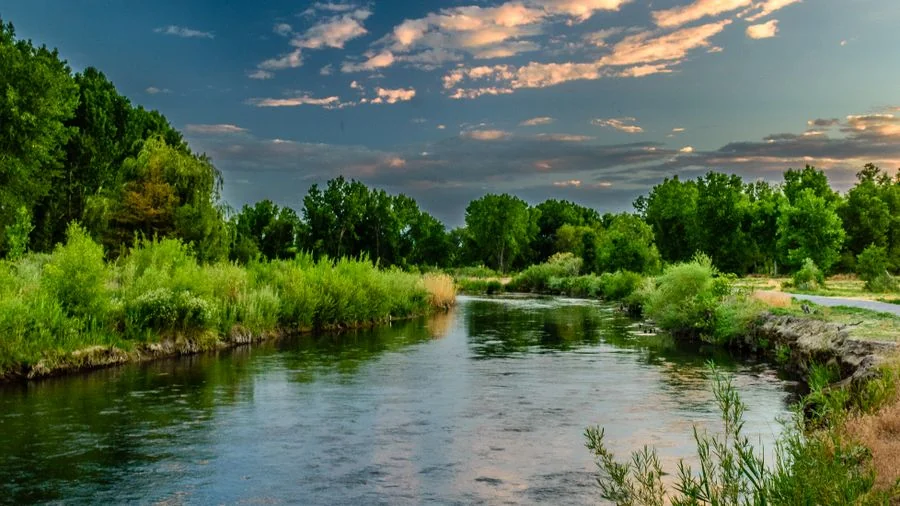 Senderismo y Naturaleza: Rutas para Principiantes